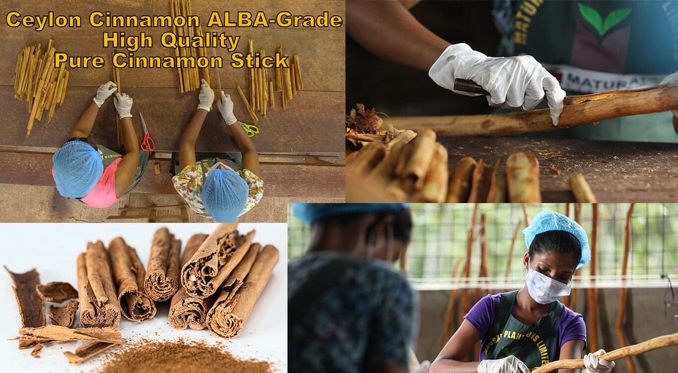 Artisanal Alba Grade Cinnamon Sticks and Powder